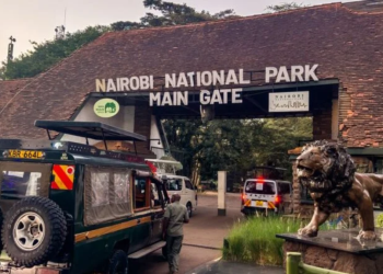 Parque-kenia | Nl Urbano Ataca León a Niña En Parque De Nairobi | Nl Urbano
