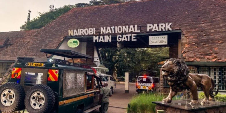 Ataca León a Niña En Parque De Nairobi | Nl Urbano