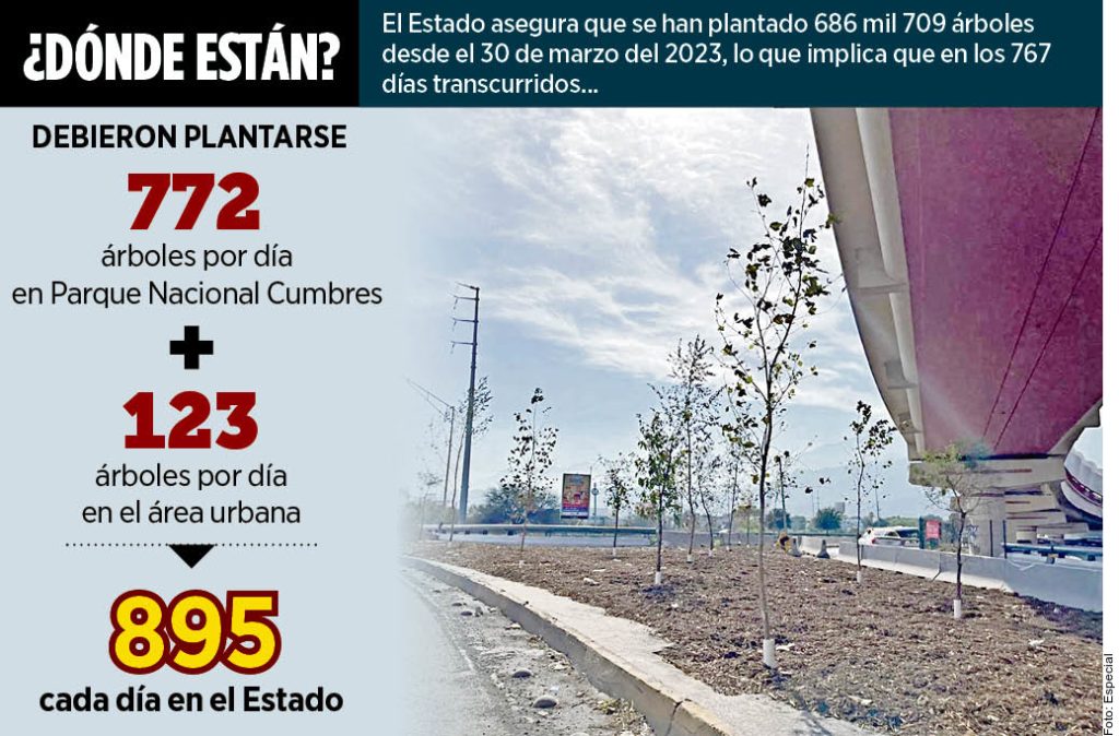 Enredan-plan-para-reforestar_2571196 | Nl Urbano Opacidad En El Plan De Reforestación De Nuevo León