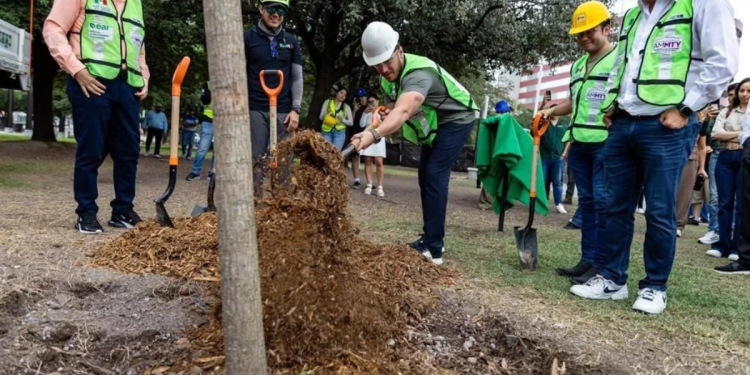 Reforestación Extrema Y Samuel | Nl Urbano