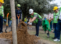 Estado Infla Cifras de Árboles en Plan de Reforestación