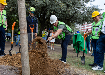Estado Infla Cifras de Árboles en Plan de Reforestación