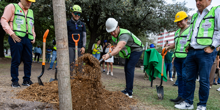 Estado Infla Cifras De Árboles En Plan De Reforestación | Nl Urbano Estado Infla Cifras De Árboles En Plan De Reforestación | Nl Urbano