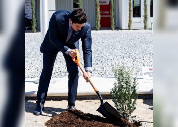 Opacidad en el Plan de Reforestación de Nuevo León