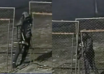 Inseguridad En Nuevo León | Nl Urbano Inseguridad En Nuevo León | Nl Urbano