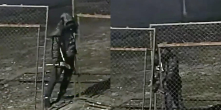 Inseguridad En Nuevo León | Nl Urbano Inseguridad En Nuevo León | Nl Urbano