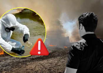 Delitos Ambientales | Nl Urbano