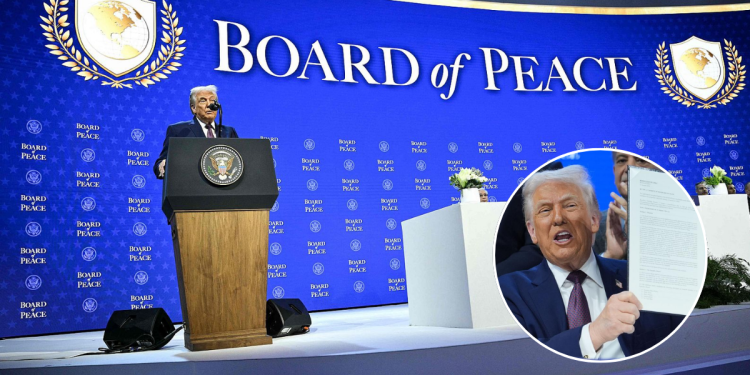 Junta De Paz De Trump | Nl Urbano