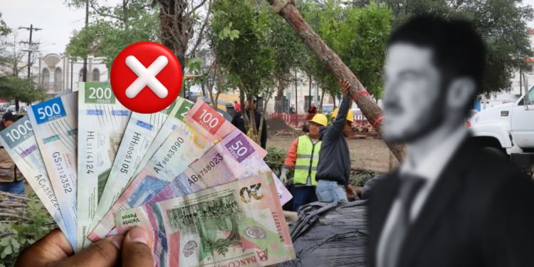 árboles-fantasma-reforestación-extrema-cosijoopii-montero-26.1-millones-de-pesos | Nl Urbano