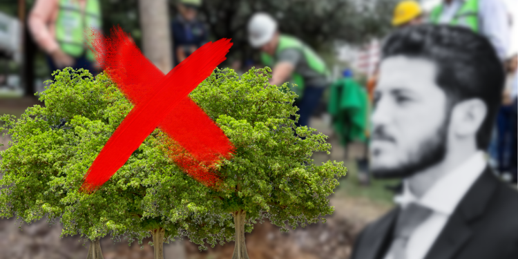 Reforestación En Nuevo León | Nl Urbano Reforestación En Nuevo León | Nl Urbano