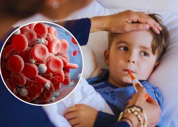 Plomo En La Sangre De 329 Niños En Cendis | Nl Urbano