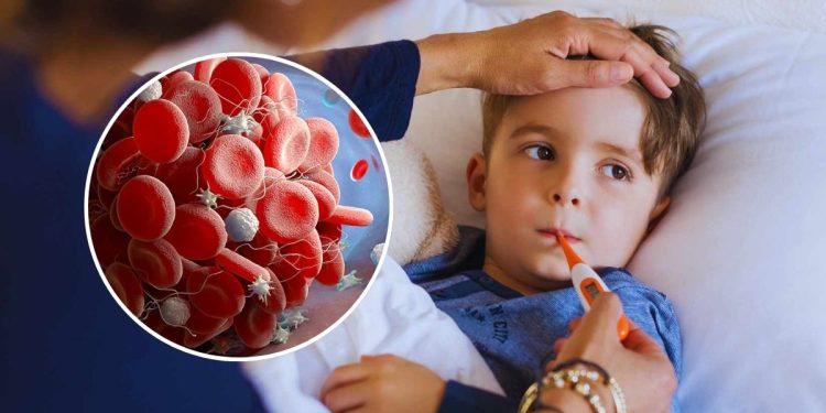 Plomo En La Sangre De 329 Niños En Cendis | Nl Urbano