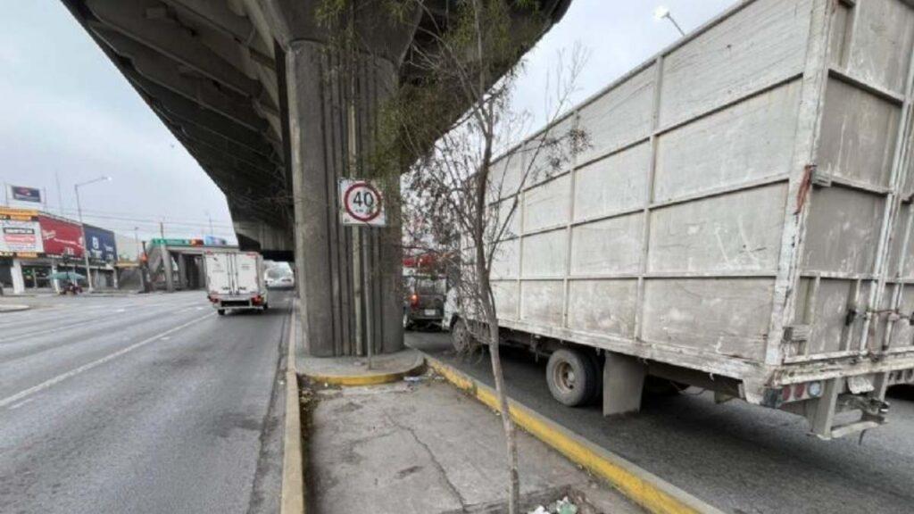 Mueren-arboles-del-metro-de-nuevo-leon | Nl Urbano Mueren árboles Del Metro De Nuevo León | Nl Urbano