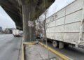 Mueren-arboles-del-metro-de-nuevo-leon | Nl Urbano Mueren árboles Del Metro De Nuevo León | Nl Urbano