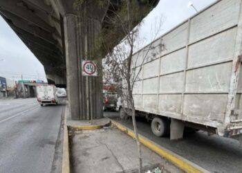 Mueren árboles Del Metro De Nuevo León | Nl Urbano