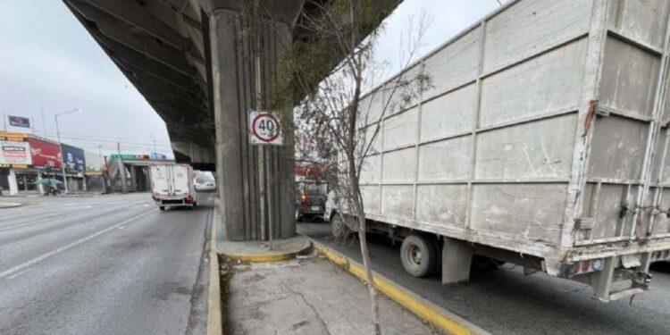 Mueren-arboles-del-metro-de-nuevo-leon | Nl Urbano Mueren árboles Del Metro De Nuevo León | Nl Urbano