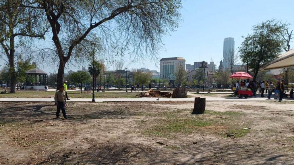 Deficit-de-arboles | Nl Urbano Falta De árboles En Nuevo León | Nl Urbano