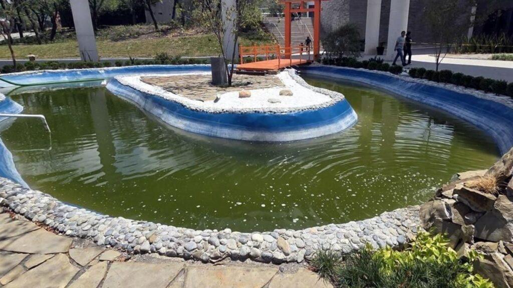 Parque Del Agua En Guadalupe Con Agua Negra | Nl Urbano